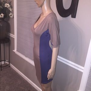 Fitted Dress